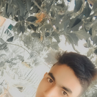 Md,hafiz