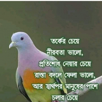 zihadislamsifat