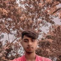 mst : arosha