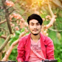 Pingku Rau