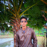 mahmudul mushfiq
