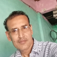 konok roy