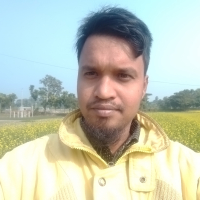 Shek salim