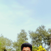 Grnizam4