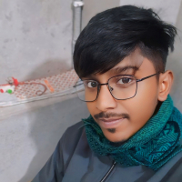 rajib551