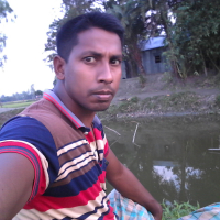 Md Mozaffar Hossain