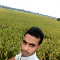 Masud25