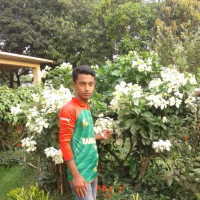 Tariqul Islam Hridoy