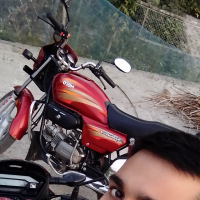01719704228
