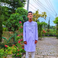 Mostafizur  Emon