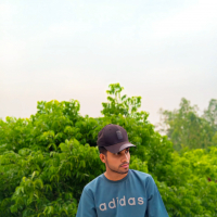 Mahmudul9