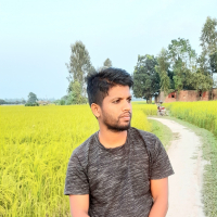 zamanislam488@gmail.com