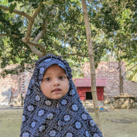 Md Mithu Mia
