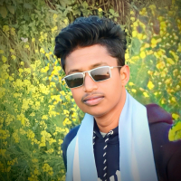 Dalim00