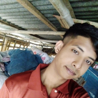 01708306597