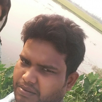mehedi258456