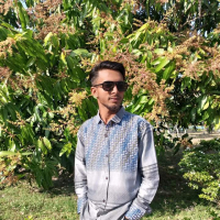 Homauon Ahmed