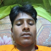 01303705298