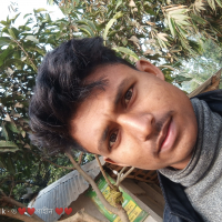 shahin174926