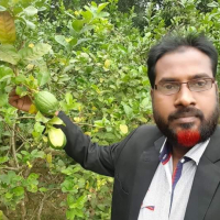 md harun ur rashid