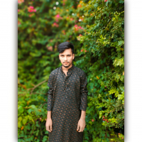 gihadtamal@gmil.com