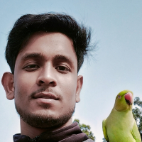 Saqlain Mustak