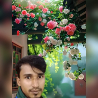 Ai.Amirul Islam mm51