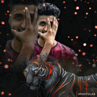 arrayhan575