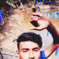 Tofik King