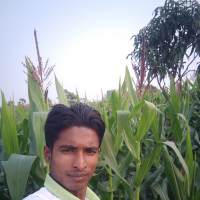rony 597740