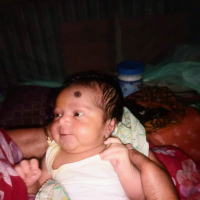 nayanislam8120