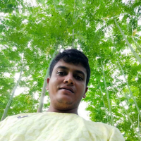 ইব্রাহিম হোসাইন