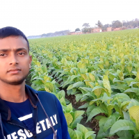 Awkat Hossain