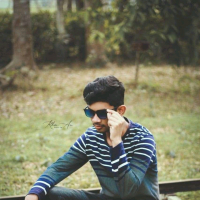 Rohan parves