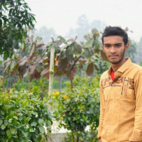 sohel984