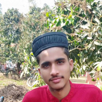 MD NUR-ISLAM RONI