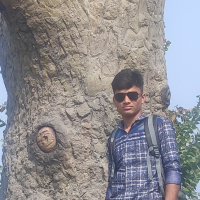 Jounralist Raju s