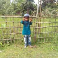 misat jahan hasi