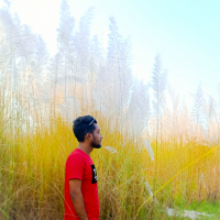 শেয়ারড ডাটা এর মেয়াদ কত দিন থাকে??
