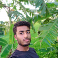 Alauddin12345