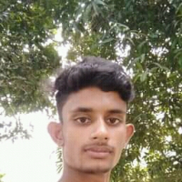 Rj Rayhan Alvi