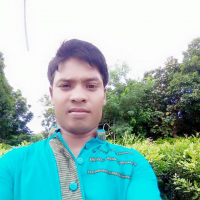 শংকর রায়