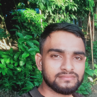 md rakib sardar