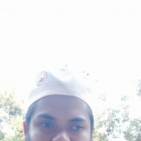 Tamim omar