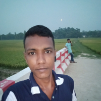 রবিন  মিয়া