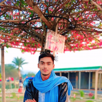 Md showrav Islam