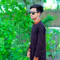hasibul8763