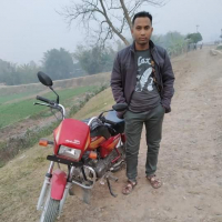 01303786032