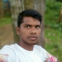 Md Robiul Islam Selim