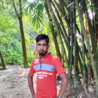 srinipin